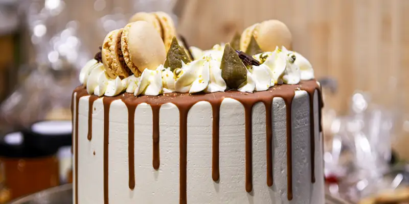 Willyou - Cupcakes, Desserts und Plates aus Bergisch Gladbach